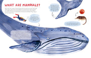Mama Mammals: Reproduction and Birth in Mammals Book