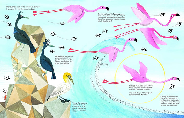 1001 Birds (1001 Series, 4)