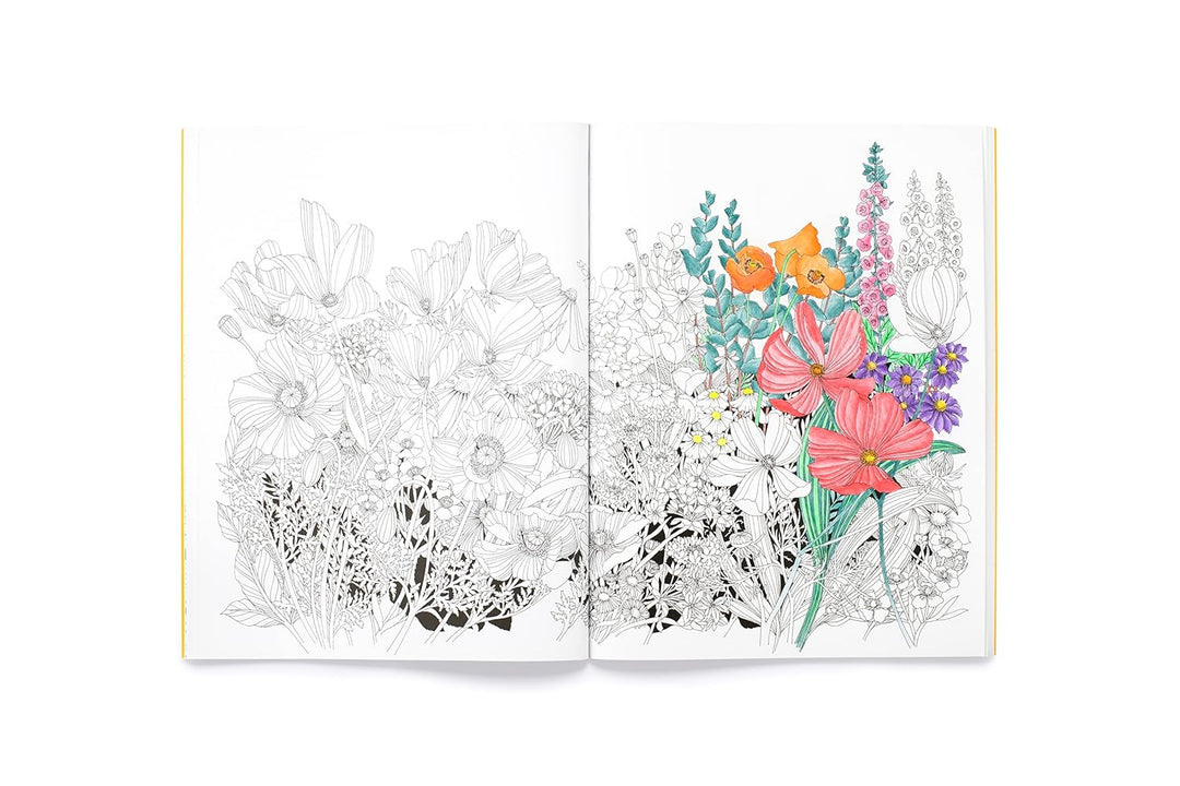 Leila Duly's Beautiful Planet: An Intricate Colouring Book