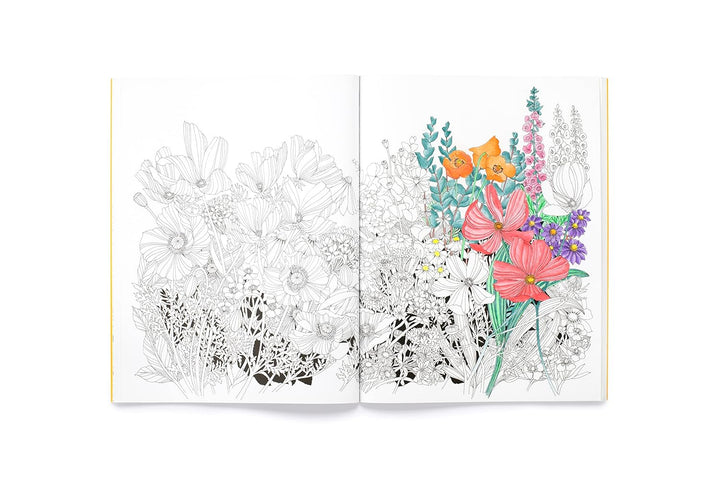 Leila Duly's Beautiful Planet: An Intricate Colouring Book