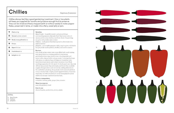 The Preserving Garden: Bottle, pickle, ferment and cook homegrown food all year round Book