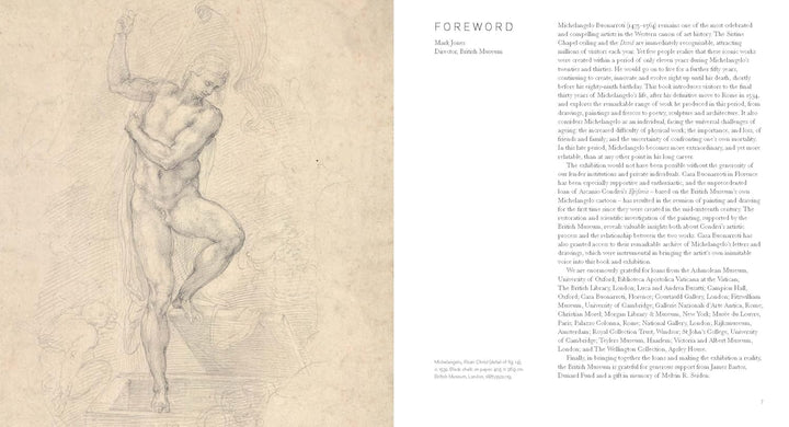 Michelangelo: the last decades Book