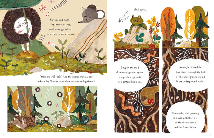 5 Minute Nature Stories: True tales from the Woodland Book