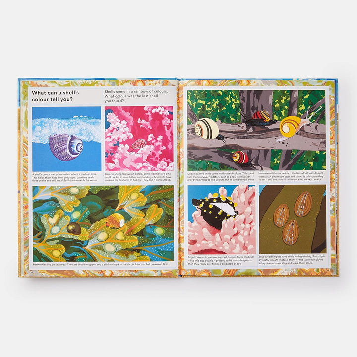 WHAT A SHELL CAN TELL BOOK