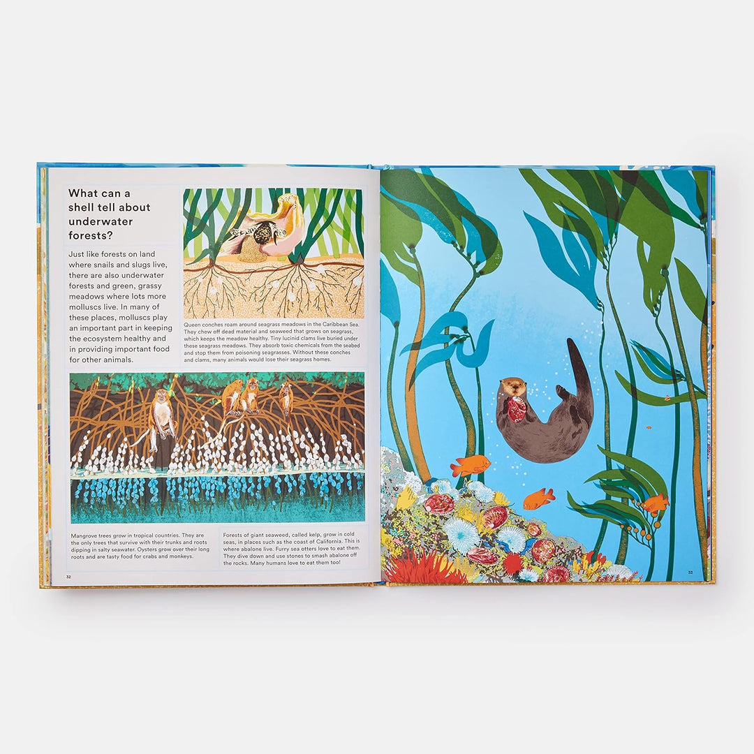 WHAT A SHELL CAN TELL BOOK