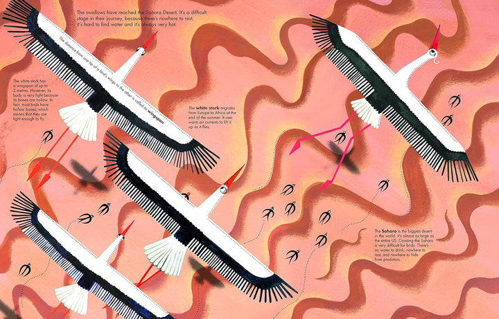 1001 Birds (1001 Series, 4)