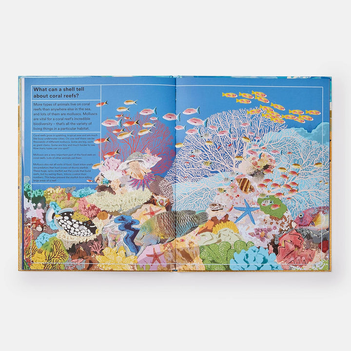 WHAT A SHELL CAN TELL BOOK