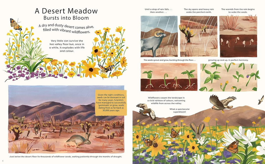 Nature in a nutshell: Watch 40 Natural Wonders Unfold Book