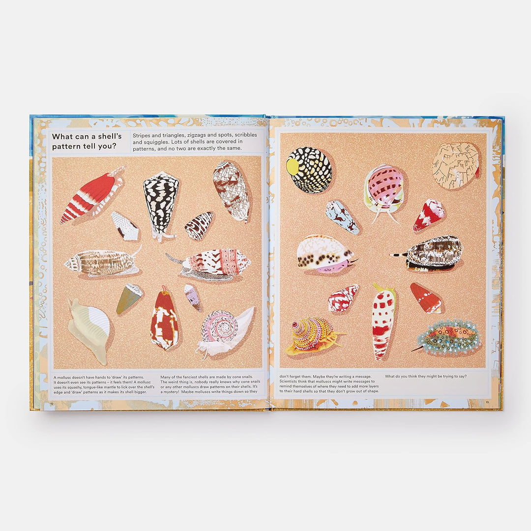 WHAT A SHELL CAN TELL BOOK