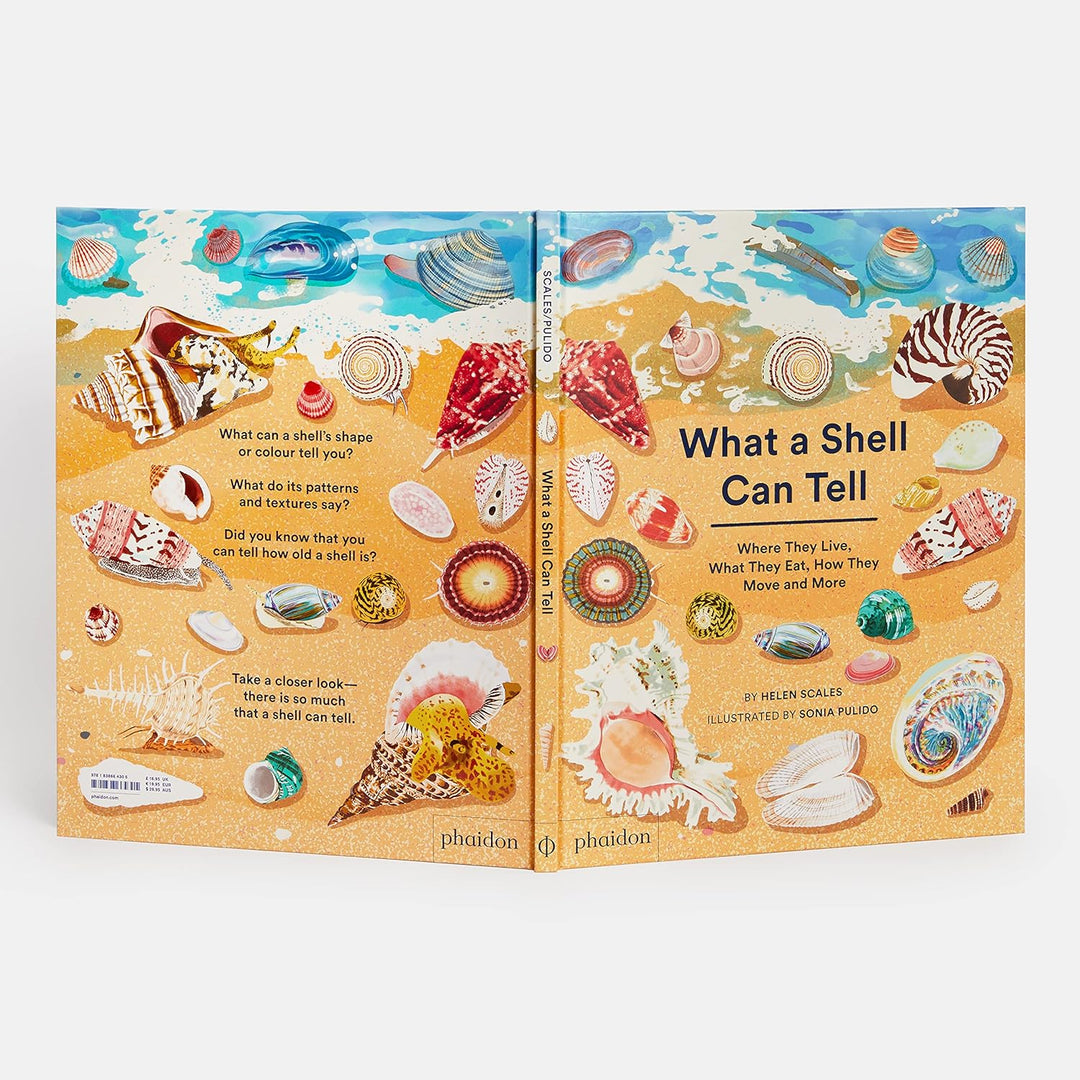 WHAT A SHELL CAN TELL BOOK
