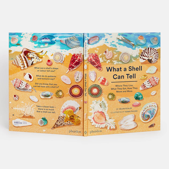 WHAT A SHELL CAN TELL BOOK