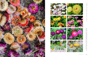 Super Bloom: A Field Guide to Flowers for Every Gardener Book