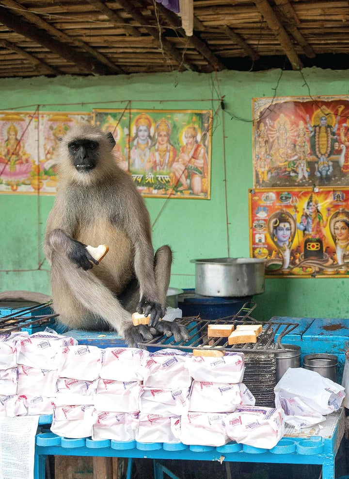 India Local : Classic Street Food Recipes Book