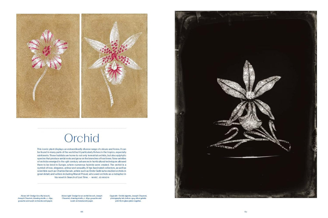 Chaumet Drawing from Nature: City of Pictures Book