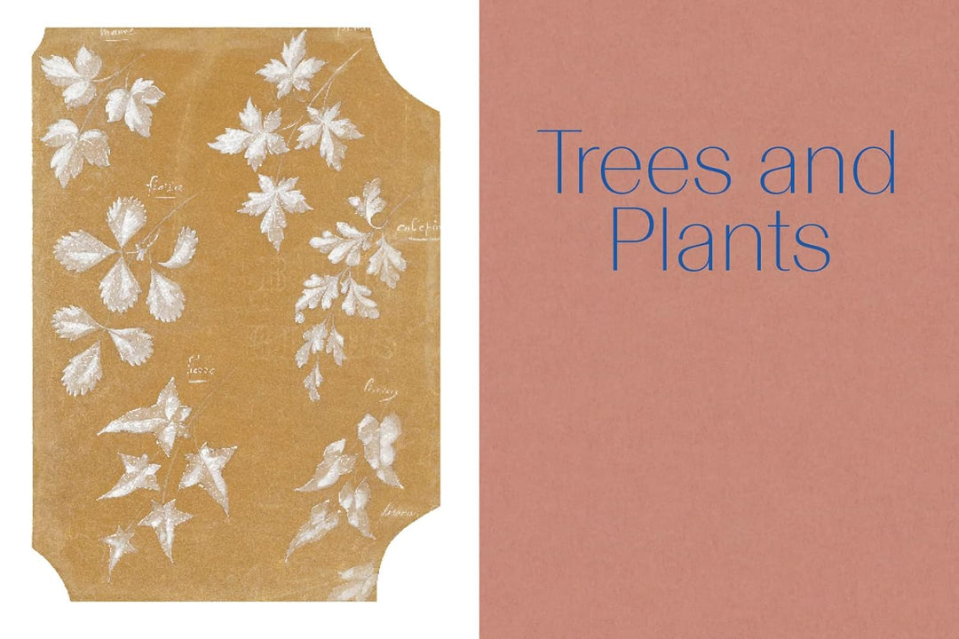 Chaumet Drawing from Nature: City of Pictures Book