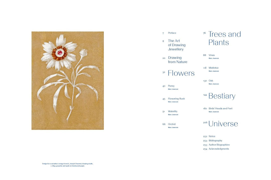 Chaumet Drawing from Nature: City of Pictures Book