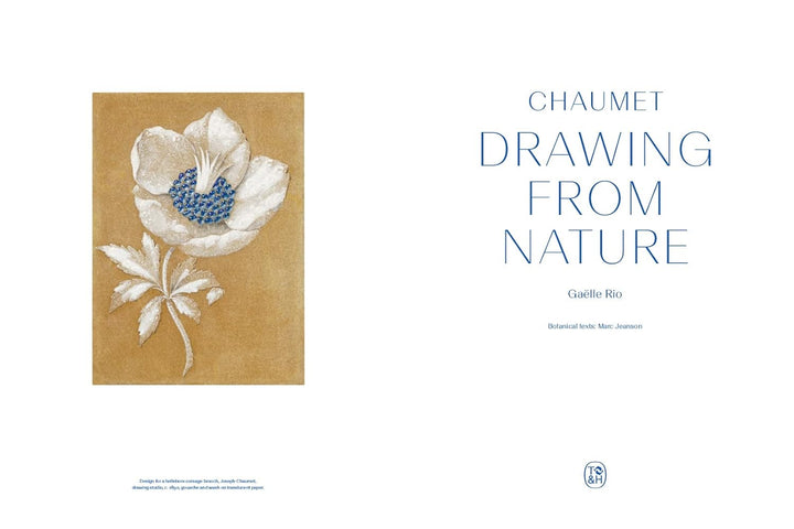Chaumet Drawing from Nature: City of Pictures Book