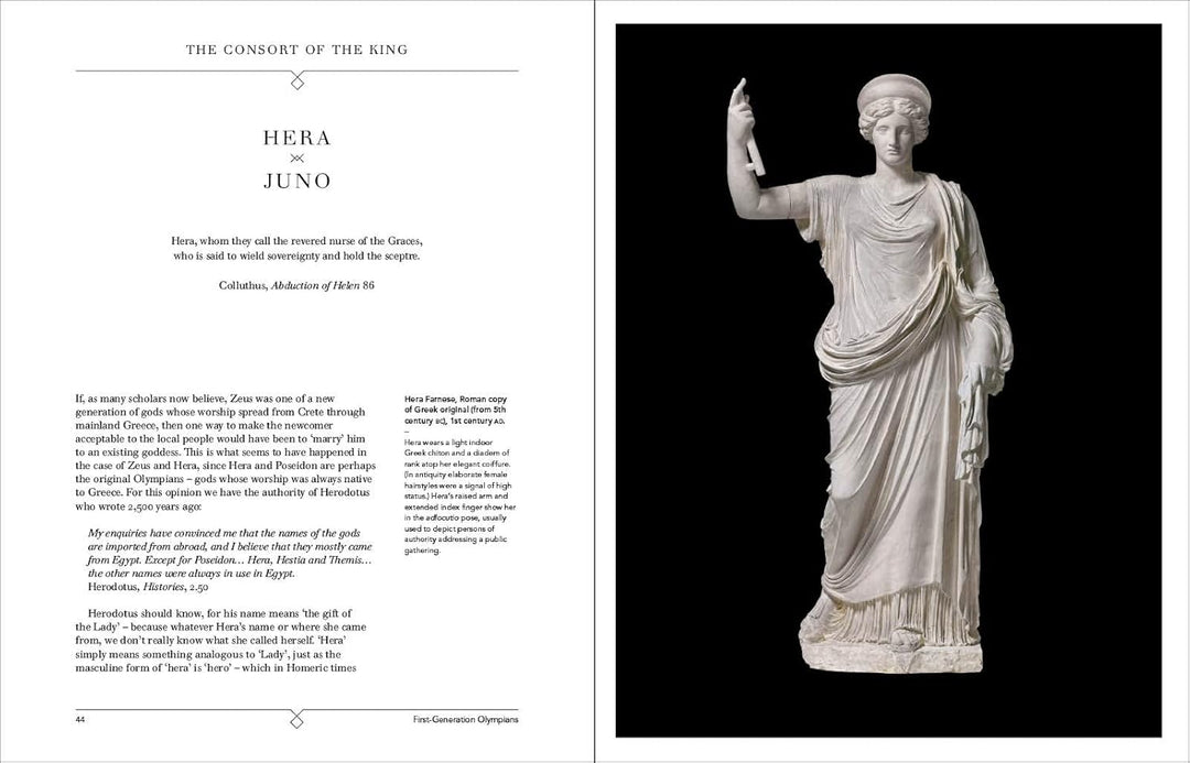 The Gods and Goddesses of Greece and Rome: A Guide to the Classical Pantheon Book