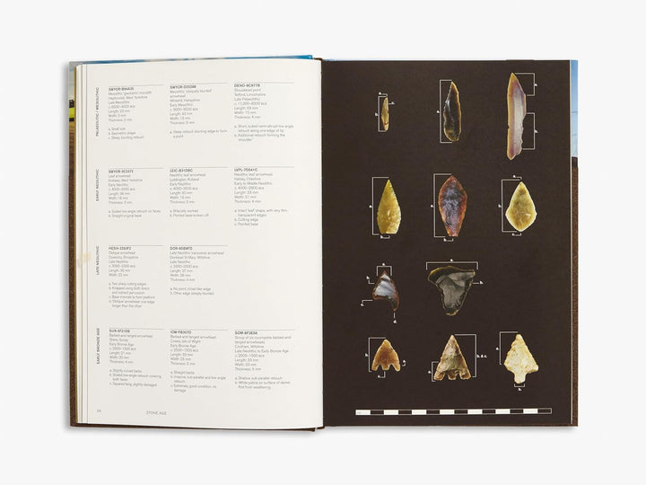 Beneath our Feet: Everyday Discoveries Reshaping British History: 17 (British Museum) Book