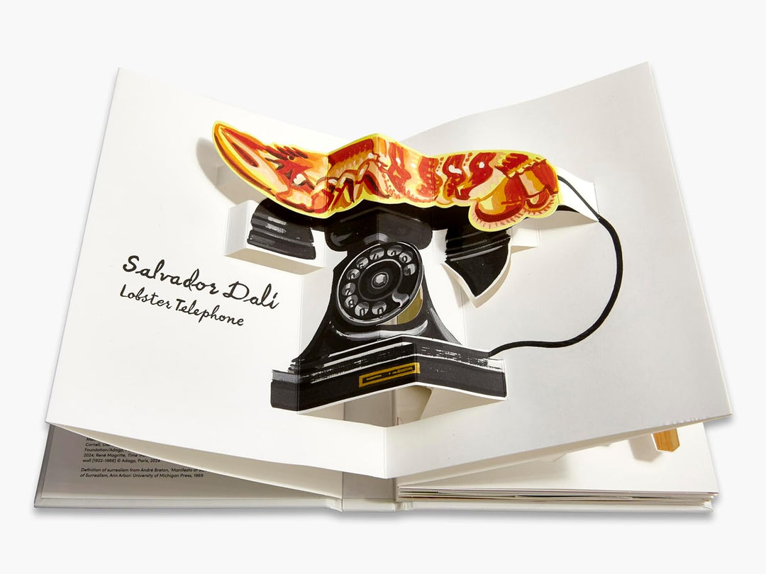 Pop-Up Surrealism Book