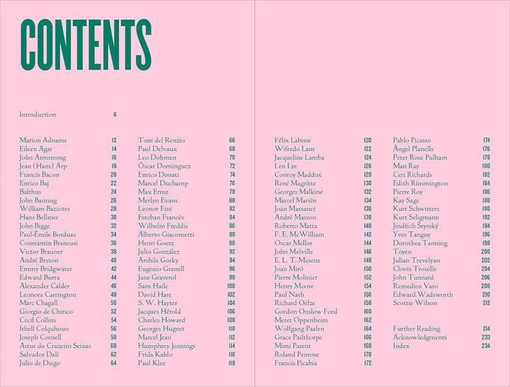 101 Surrealists Book