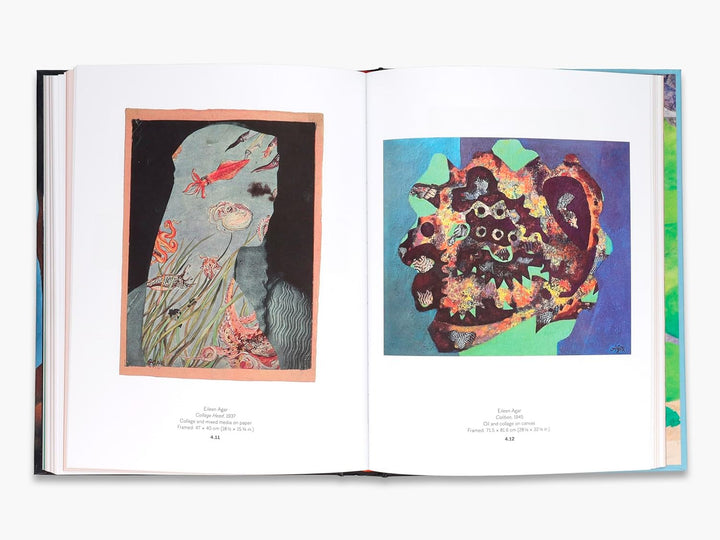 Forbidden Territories: 100 Years of Surreal Landscape Book