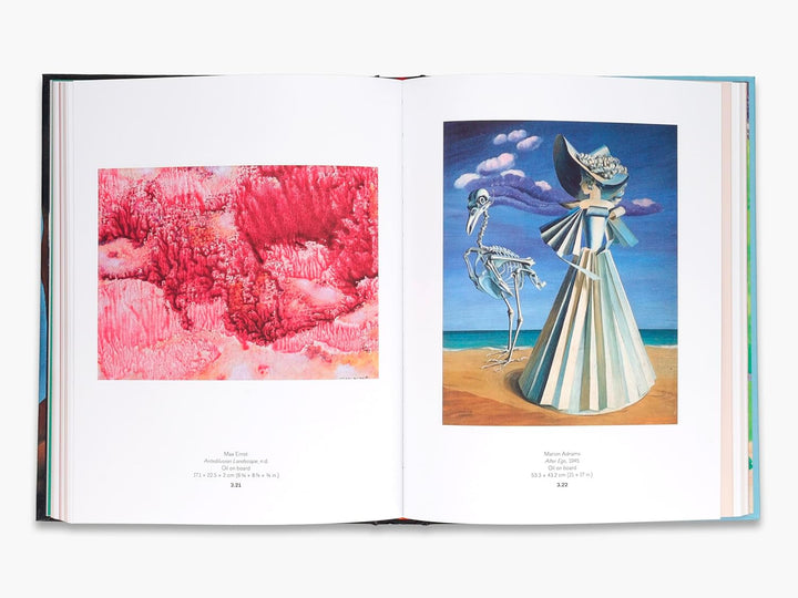 Forbidden Territories: 100 Years of Surreal Landscape Book