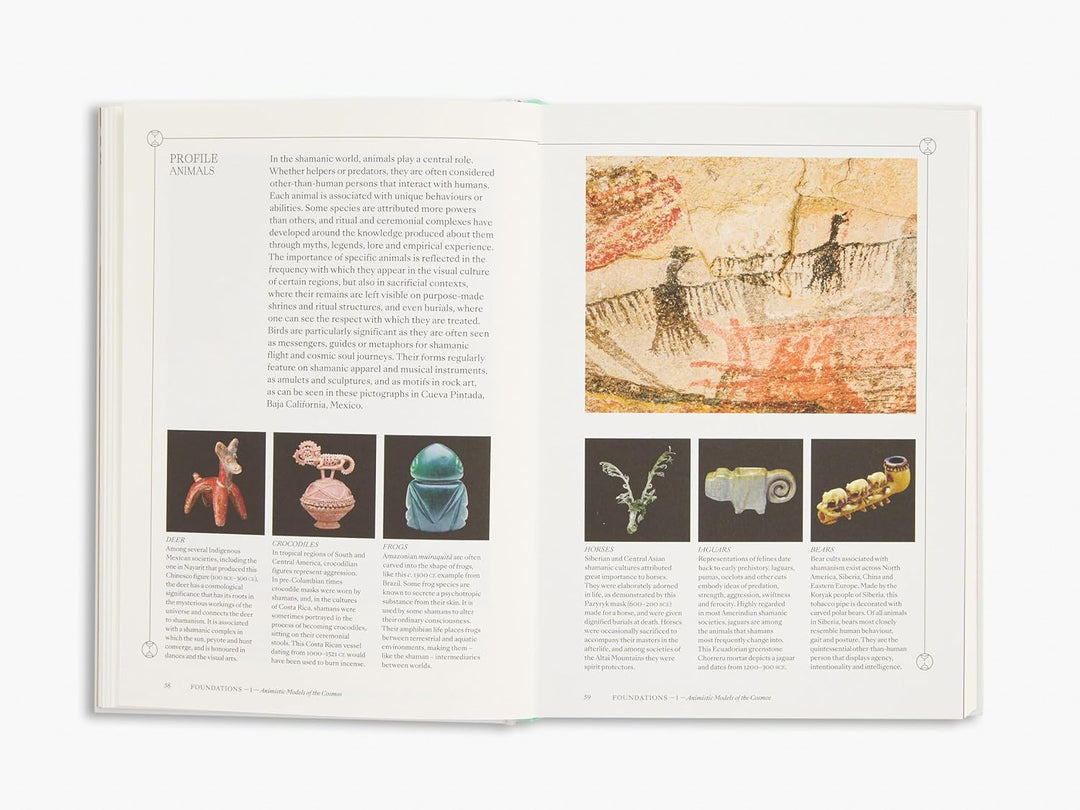 Shamans: The Visual Culture of Animism, Healing and Journeys to Other Planes (Religious and Spiritual Imagery) Book