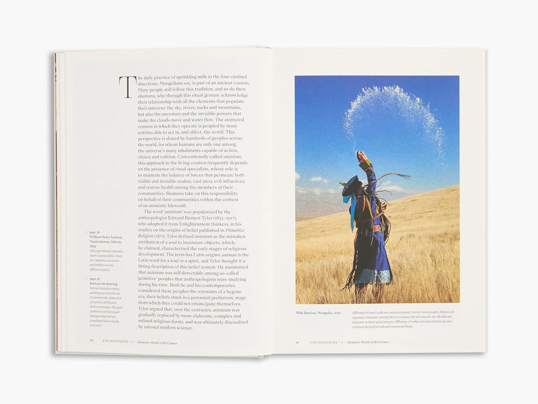 Shamans: The Visual Culture of Animism, Healing and Journeys to Other Planes (Religious and Spiritual Imagery) Book