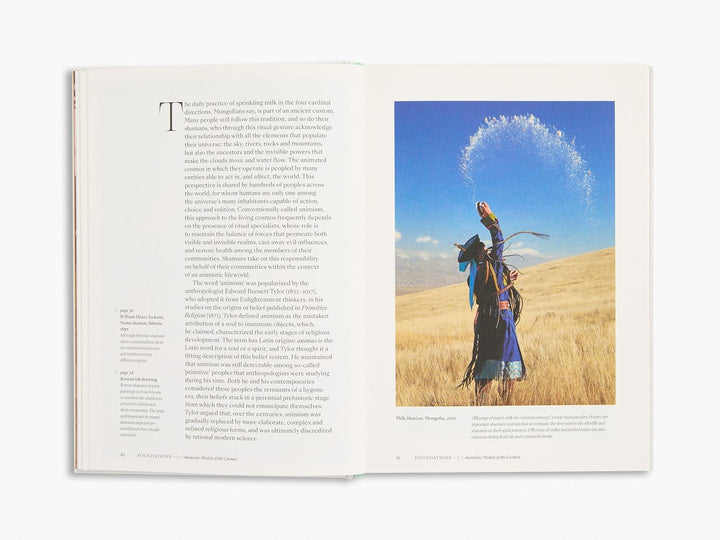 Shamans: The Visual Culture of Animism, Healing and Journeys to Other Planes (Religious and Spiritual Imagery) Book