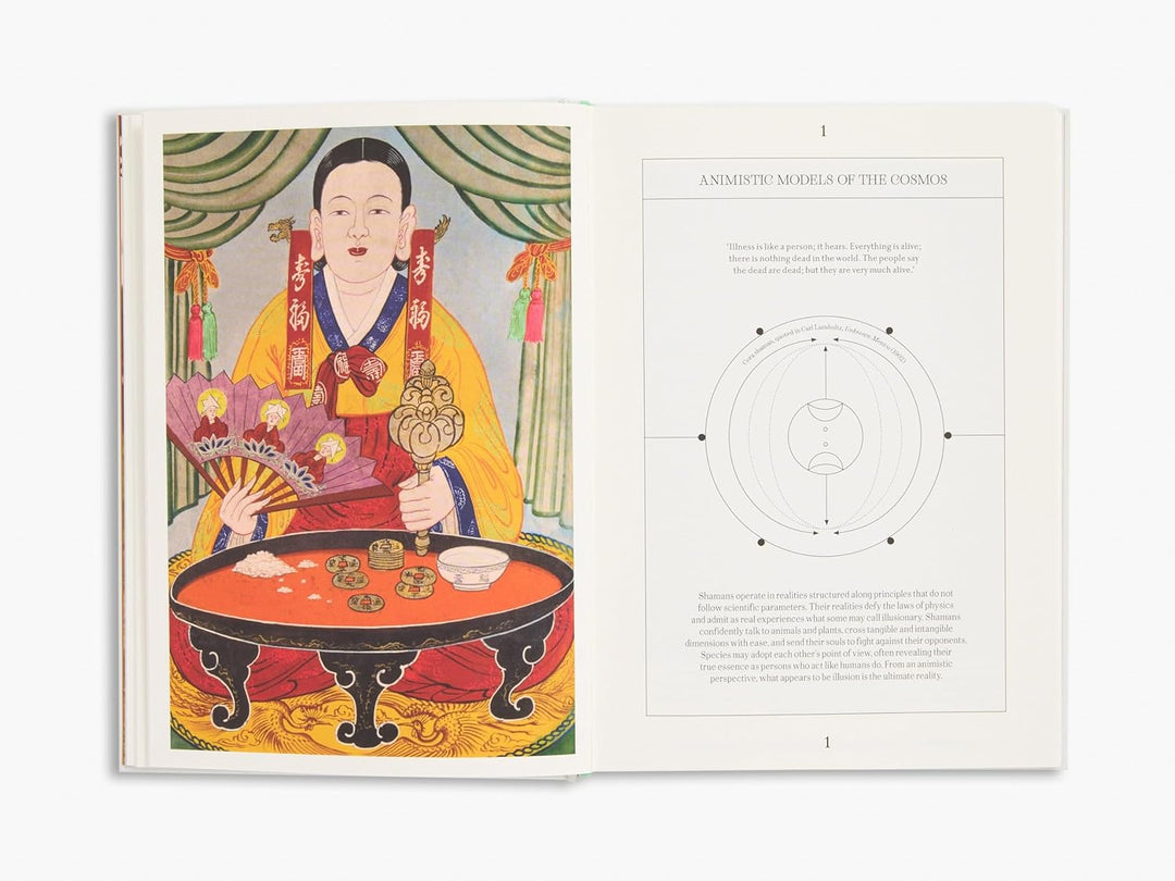 Shamans: The Visual Culture of Animism, Healing and Journeys to Other Planes (Religious and Spiritual Imagery) Book