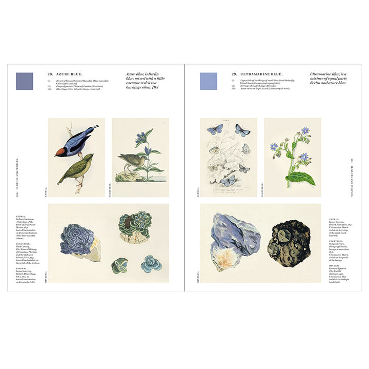 Nature's Palette: A colour reference system from the natural world Book