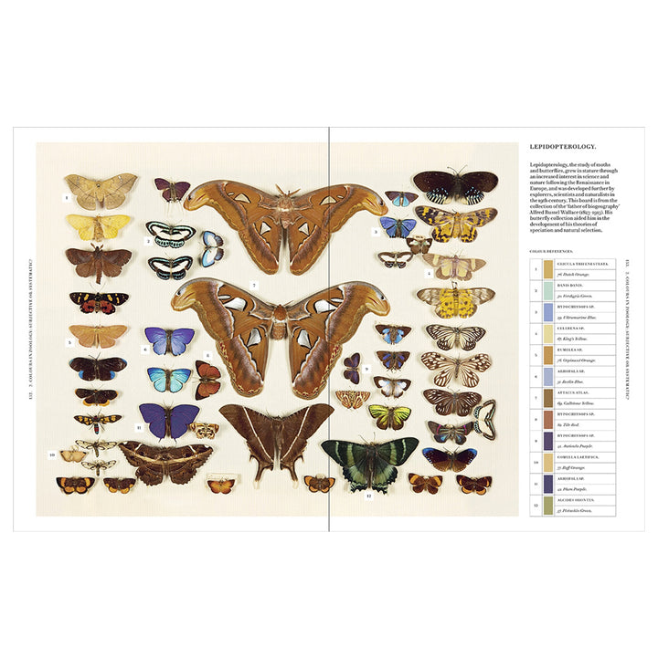 Nature's Palette: A colour reference system from the natural world Book