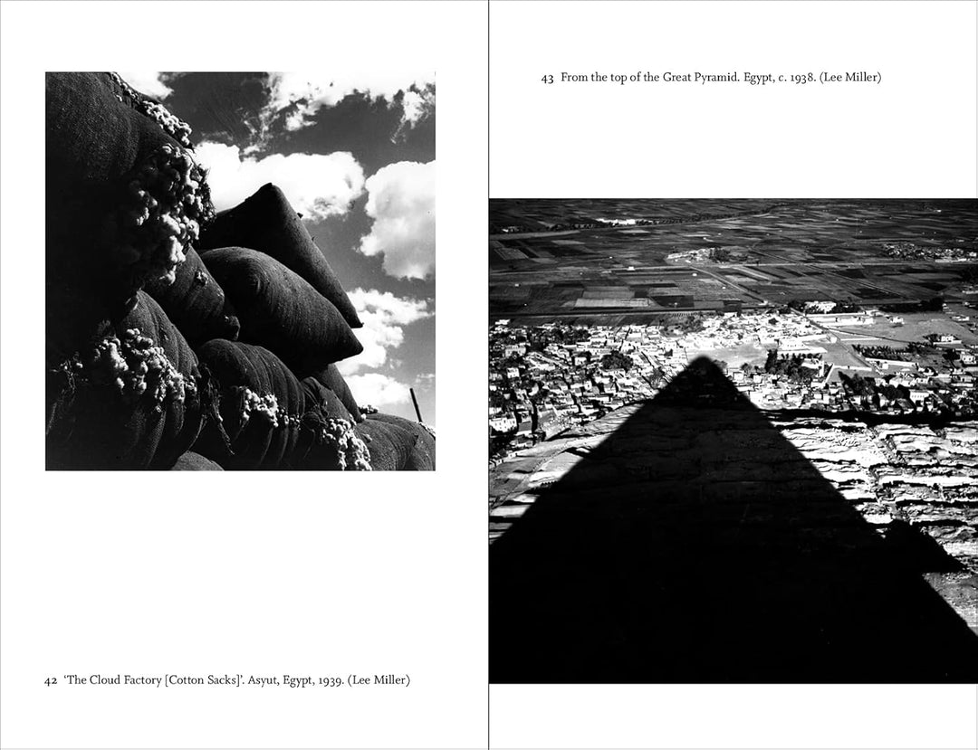Lives of Lee Miller: SOON TO BE A MAJOR MOTION PICTURE STARRING KATE WINSLET: The Dead Among Us Book