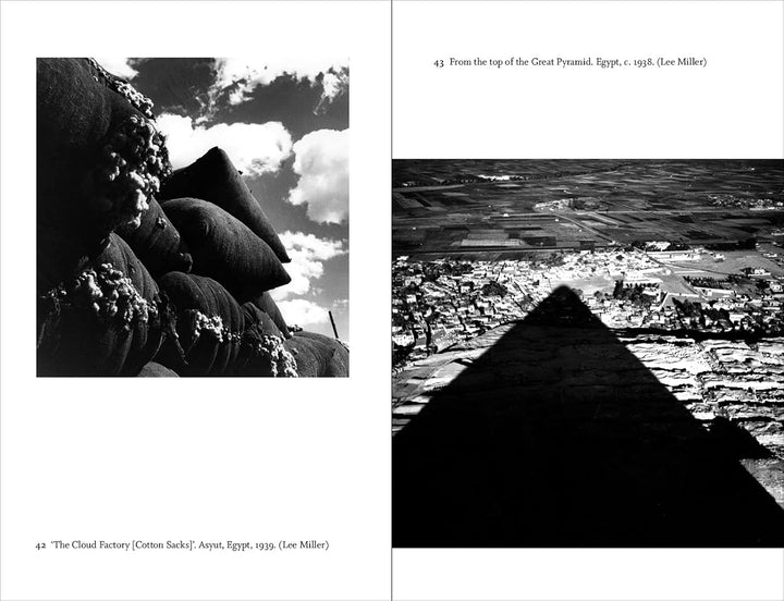 Lives of Lee Miller: SOON TO BE A MAJOR MOTION PICTURE STARRING KATE WINSLET: The Dead Among Us Book