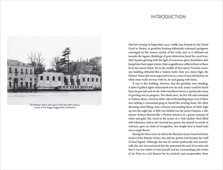 The Unfinished Palazzo: Life, Love and Art in Venice Book