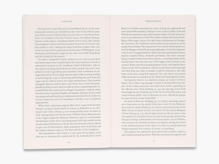 The Irish: Tales of Emigration, Exile and Imperialism Book