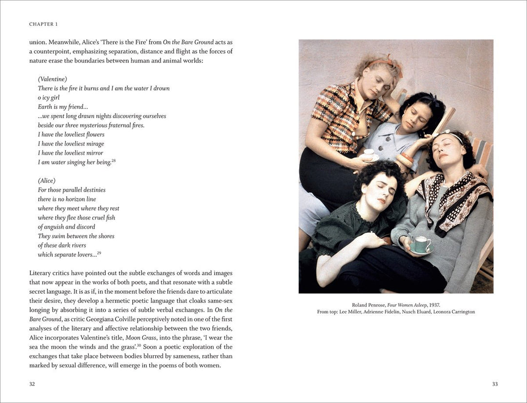 The Militant Muse Book