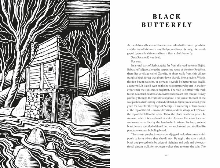 The Slavic Myths Book