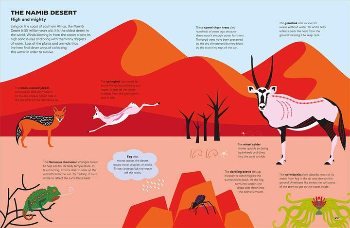 Hoot and Howl across the Desert: Life in the world's driest deserts Book
