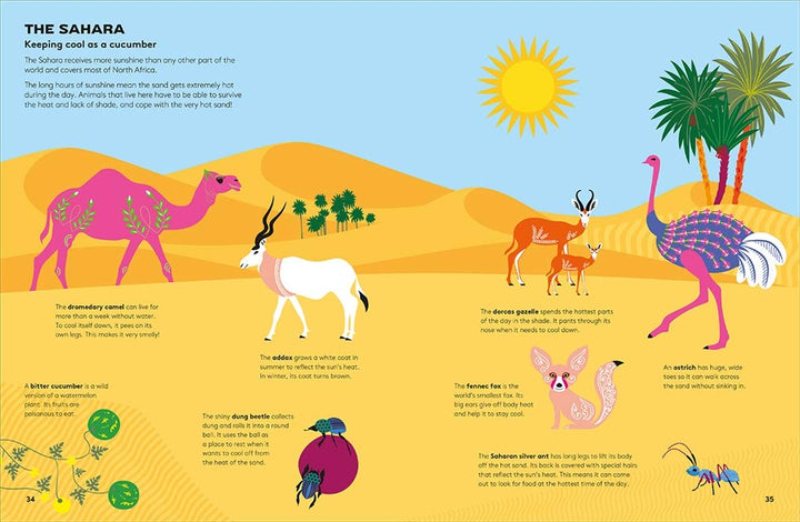 Hoot and Howl across the Desert: Life in the world's driest deserts Book