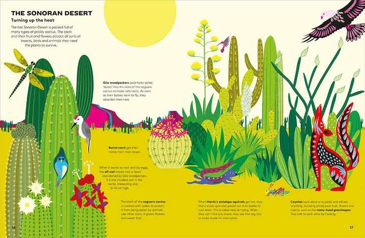 Hoot and Howl across the Desert: Life in the world's driest deserts Book