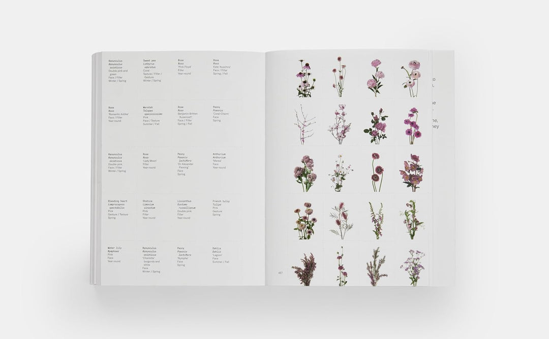 Flower Colour Guide Book