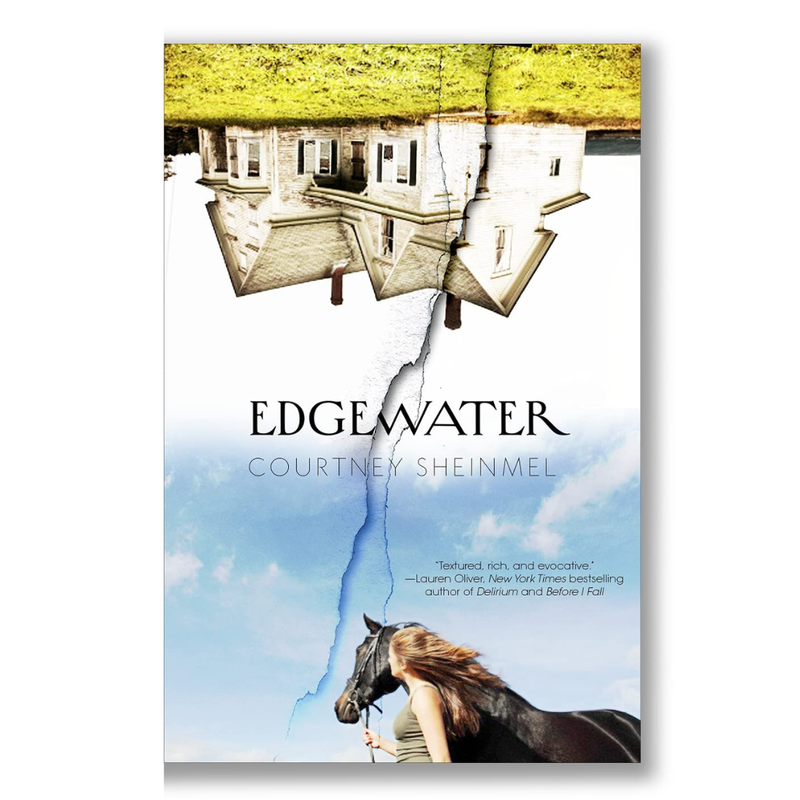 Devil and the Bluebird: Must-Know Rules for a Strategic, Stylish, and Self-Made Career Book (Copy)