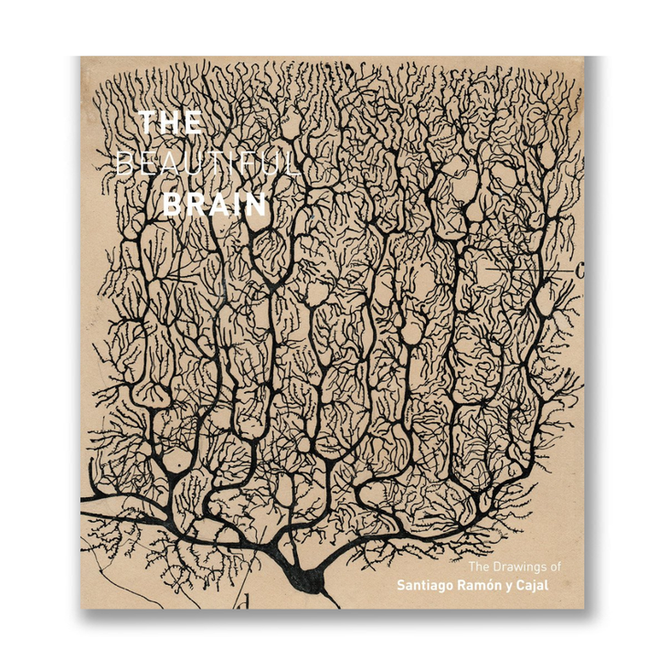The Beautiful Brain: The Drawings of Santiago Ramon y Cajal Book