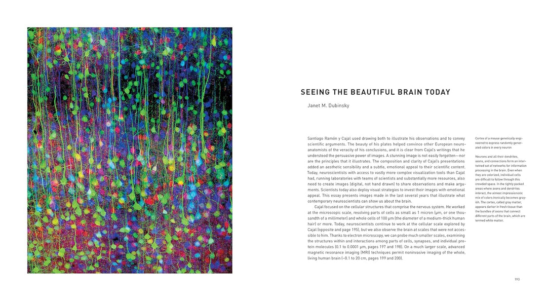 The Beautiful Brain: The Drawings of Santiago Ramon y Cajal Book