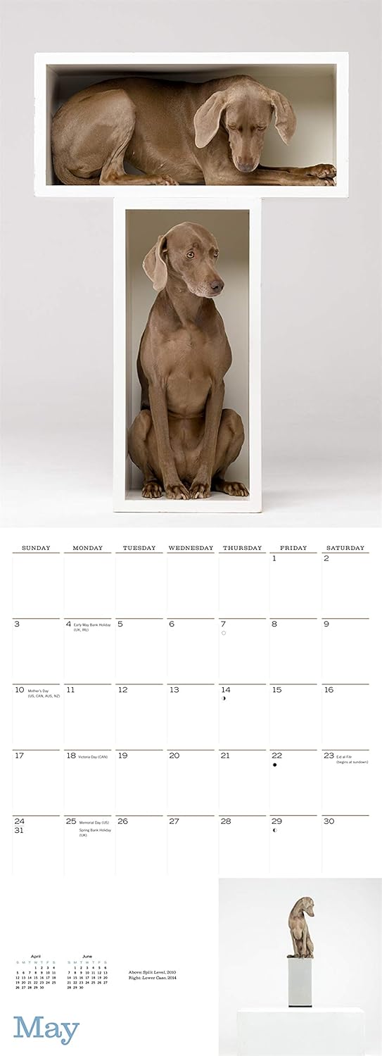 CAL 20 WILLIAM WEGMAN MANS BEST FRIEND
