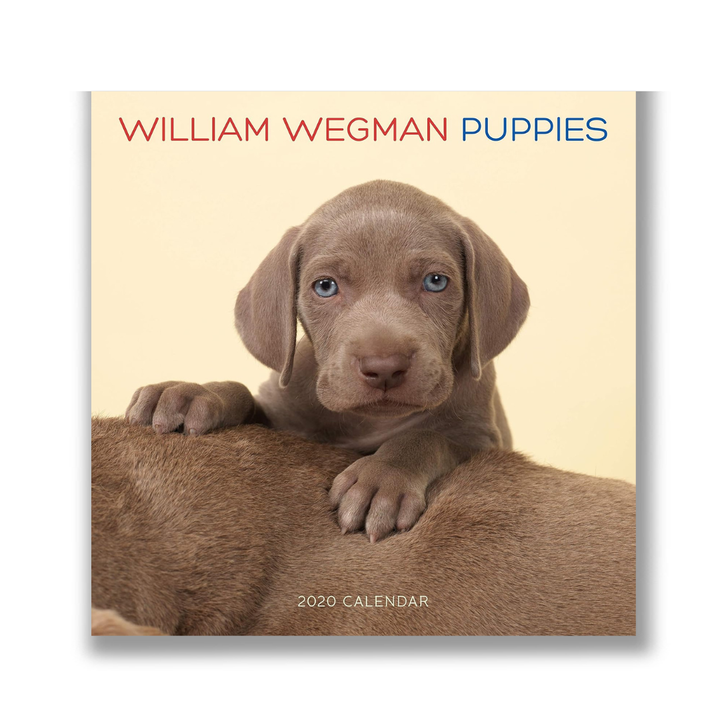 William Wegman Puppies 2020 Wall Calendar
