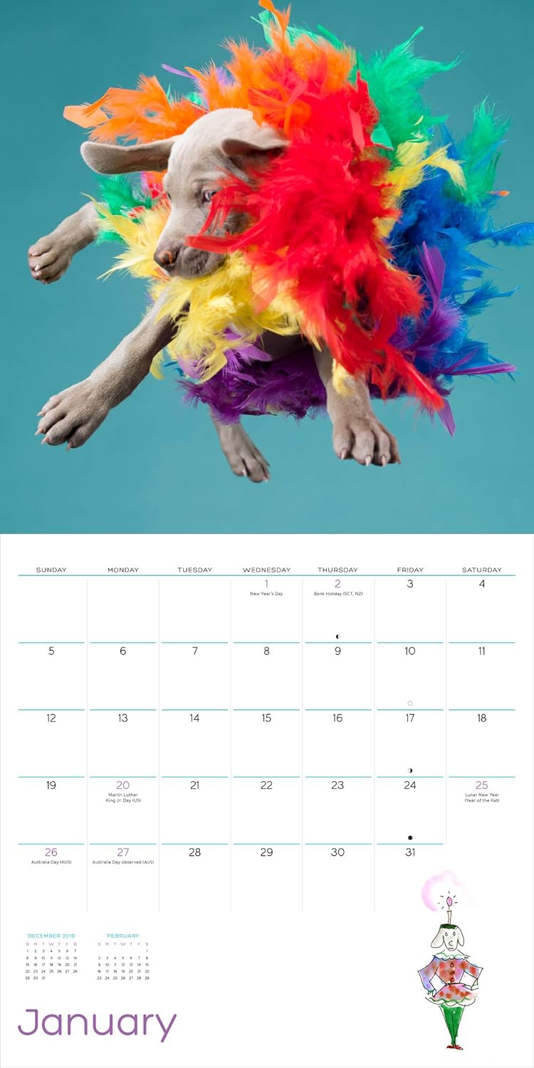 William Wegman Puppies 2020 Wall Calendar