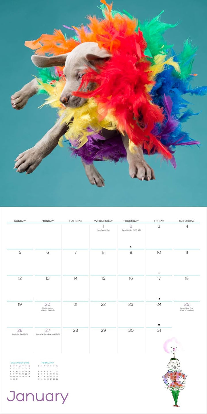 William Wegman Puppies 2020 Wall Calendar